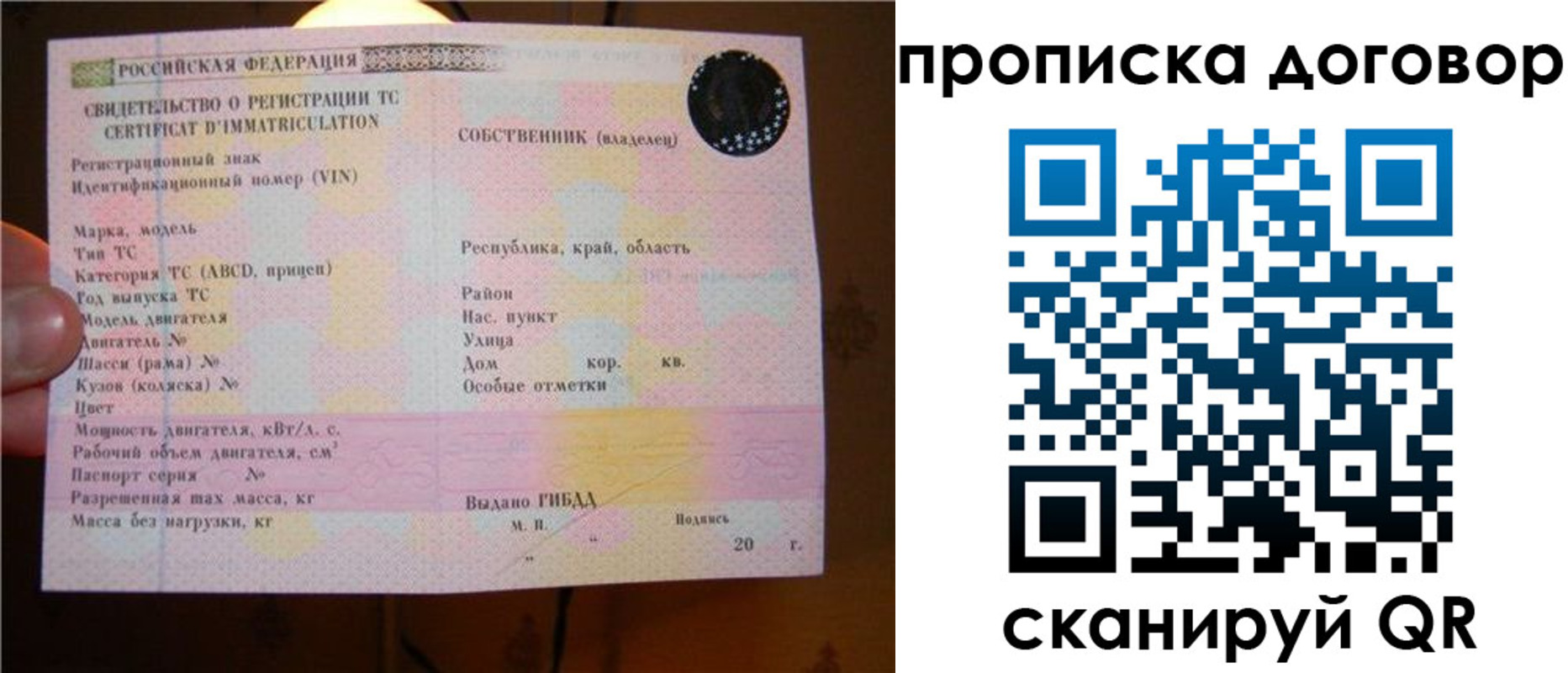 временная регистрация поиск в Оленегорске